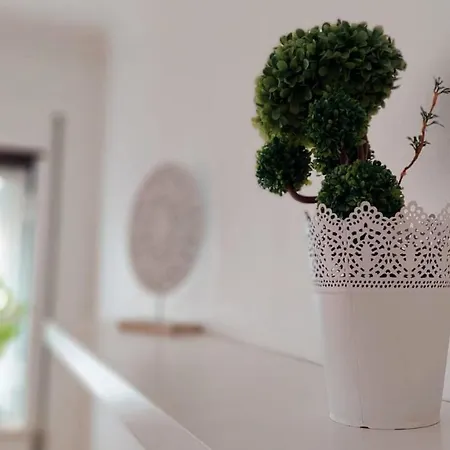 Casa Lena - Sitio Da 公寓 纳扎雷