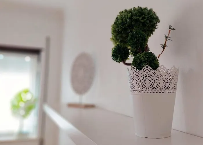 Casa Lena - Sitio Da דירה נאזרה